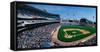 This Is the New Comiskey Park Stadium. Playing are the White Sox Vs the Texas Rangers-null-Framed Stretched Canvas