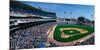 This Is the New Comiskey Park Stadium. Playing are the White Sox Vs the Texas Rangers-null-Mounted Photographic Print