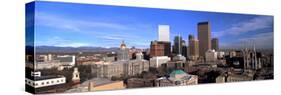 This Is the Skyline-null-Stretched Canvas