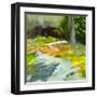 This Is the Way-Martha Wakefield-Framed Art Print