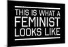 This Is What A Feminist Looks Like - WB-null-Mounted Poster