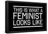 This Is What A Feminist Looks Like - WB-null-Framed Poster