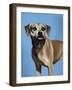 This is What I Think of Your Idea-Sydney Edmunds-Framed Giclee Print