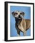 This is What I Think of Your Idea-Sydney Edmunds-Framed Giclee Print