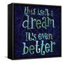 This Isn�t a Dream-Robbin Rawlings-Framed Stretched Canvas