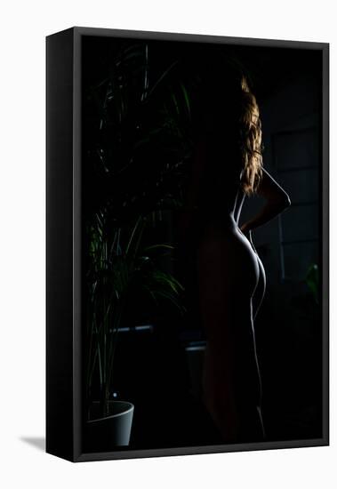 This Light-Sebastian Black-Framed Stretched Canvas