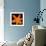 This Orange Lily-Steve Gadomski-Framed Photographic Print displayed on a wall