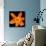 This Orange Lily-Steve Gadomski-Photographic Print displayed on a wall