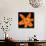 This Orange Lily-Steve Gadomski-Photographic Print displayed on a wall