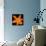 This Orange Lily-Steve Gadomski-Stretched Canvas displayed on a wall