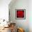 This Red Carnation-Steve Gadomski-Framed Photographic Print displayed on a wall