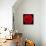 This Red Carnation-Steve Gadomski-Mounted Photographic Print displayed on a wall