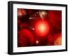 This Red Giant Star Is Much Older and Bigger Than Earth's Sun-Stocktrek Images-Framed Photographic Print