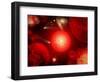 This Red Giant Star Is Much Older and Bigger Than Earth's Sun-Stocktrek Images-Framed Photographic Print