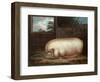 "This Remarkable Animal...", Engraved by John Whessel (C.1760-1823), 1808-Benjamin Gale-Framed Giclee Print