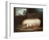 "This Remarkable Animal...", Engraved by John Whessel (C.1760-1823), 1808-Benjamin Gale-Framed Giclee Print