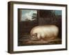 "This Remarkable Animal...", Engraved by John Whessel (C.1760-1823), 1808-Benjamin Gale-Framed Giclee Print