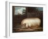 "This Remarkable Animal...", Engraved by John Whessel (C.1760-1823), 1808-Benjamin Gale-Framed Giclee Print