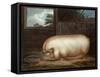 "This Remarkable Animal...", Engraved by John Whessel (C.1760-1823), 1808-Benjamin Gale-Framed Stretched Canvas