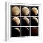 This Sequence of Photographs Shows the Total Eclipse of the Moon over Denver, Colorado-null-Framed Premium Photographic Print