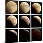 This Sequence of Photographs Shows the Total Eclipse of the Moon over Denver, Colorado-null-Mounted Premium Photographic Print