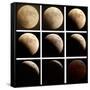 This Sequence of Photographs Shows the Total Eclipse of the Moon over Denver, Colorado-null-Framed Stretched Canvas