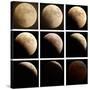 This Sequence of Photographs Shows the Total Eclipse of the Moon over Denver, Colorado-null-Stretched Canvas