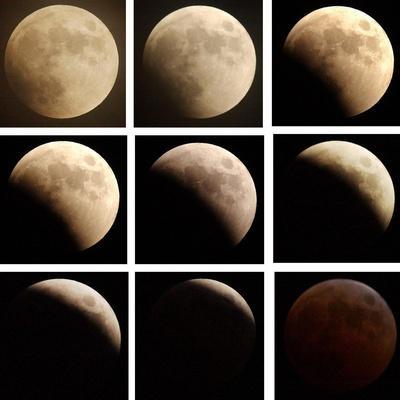'This Sequence of Photographs Shows the Total Eclipse of the Moon over