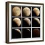 This Sequence of Photographs Shows the Total Eclipse of the Moon over Denver, Colorado-null-Framed Photographic Print
