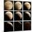 This Sequence of Photographs Shows the Total Eclipse of the Moon over Denver, Colorado-null-Mounted Photographic Print