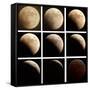 This Sequence of Photographs Shows the Total Eclipse of the Moon over Denver, Colorado-null-Framed Stretched Canvas