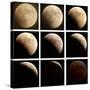 This Sequence of Photographs Shows the Total Eclipse of the Moon over Denver, Colorado-null-Stretched Canvas