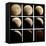 This Sequence of Photographs Shows the Total Eclipse of the Moon over Denver, Colorado-null-Framed Stretched Canvas