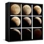 This Sequence of Photographs Shows the Total Eclipse of the Moon over Denver, Colorado-null-Framed Stretched Canvas