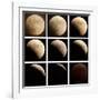 This Sequence of Photographs Shows the Total Eclipse of the Moon over Denver, Colorado-null-Framed Photographic Print