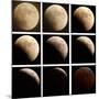 This Sequence of Photographs Shows the Total Eclipse of the Moon over Denver, Colorado-null-Mounted Photographic Print