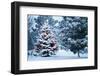 This Snow Covered Christmas Tree Stands out Brightly against the Dark Blue Tones of this Snow Cover-Ricardo Reitmeyer-Framed Photographic Print