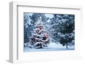 This Snow Covered Christmas Tree Stands out Brightly against the Dark Blue Tones of this Snow Cover-Ricardo Reitmeyer-Framed Photographic Print