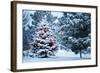 This Snow Covered Christmas Tree Stands out Brightly against the Dark Blue Tones of this Snow Cover-Ricardo Reitmeyer-Framed Photographic Print