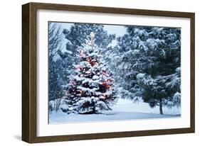 This Snow Covered Christmas Tree Stands out Brightly against the Dark Blue Tones of this Snow Cover-Ricardo Reitmeyer-Framed Photographic Print