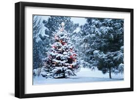 This Snow Covered Christmas Tree Stands out Brightly against the Dark Blue Tones of this Snow Cover-Ricardo Reitmeyer-Framed Photographic Print