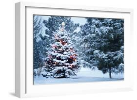 This Snow Covered Christmas Tree Stands out Brightly against the Dark Blue Tones of this Snow Cover-Ricardo Reitmeyer-Framed Photographic Print