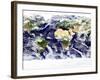 This Spectacular Image is the Most Detailed True-Color Image of the Entire Earth to Date-Stocktrek Images-Framed Photographic Print