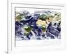 This Spectacular Image is the Most Detailed True-Color Image of the Entire Earth to Date-Stocktrek Images-Framed Photographic Print