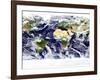 This Spectacular Image is the Most Detailed True-Color Image of the Entire Earth to Date-Stocktrek Images-Framed Photographic Print