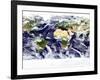 This Spectacular Image is the Most Detailed True-Color Image of the Entire Earth to Date-Stocktrek Images-Framed Photographic Print