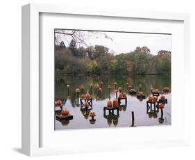 This Water Based Jack-O-Lantern Display in the Halloween Spectacular-Victoria Arocho-Framed Photographic Print