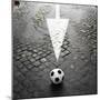 This Way to Soccer-Max Power-Mounted Photographic Print