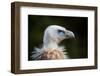 This Years Fashion-Sebastian Graf-Framed Photographic Print