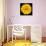 This Yellow Chrysanthemum-Steve Gadomski-Photographic Print displayed on a wall